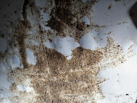 IMG_20180911_111345183 (2)